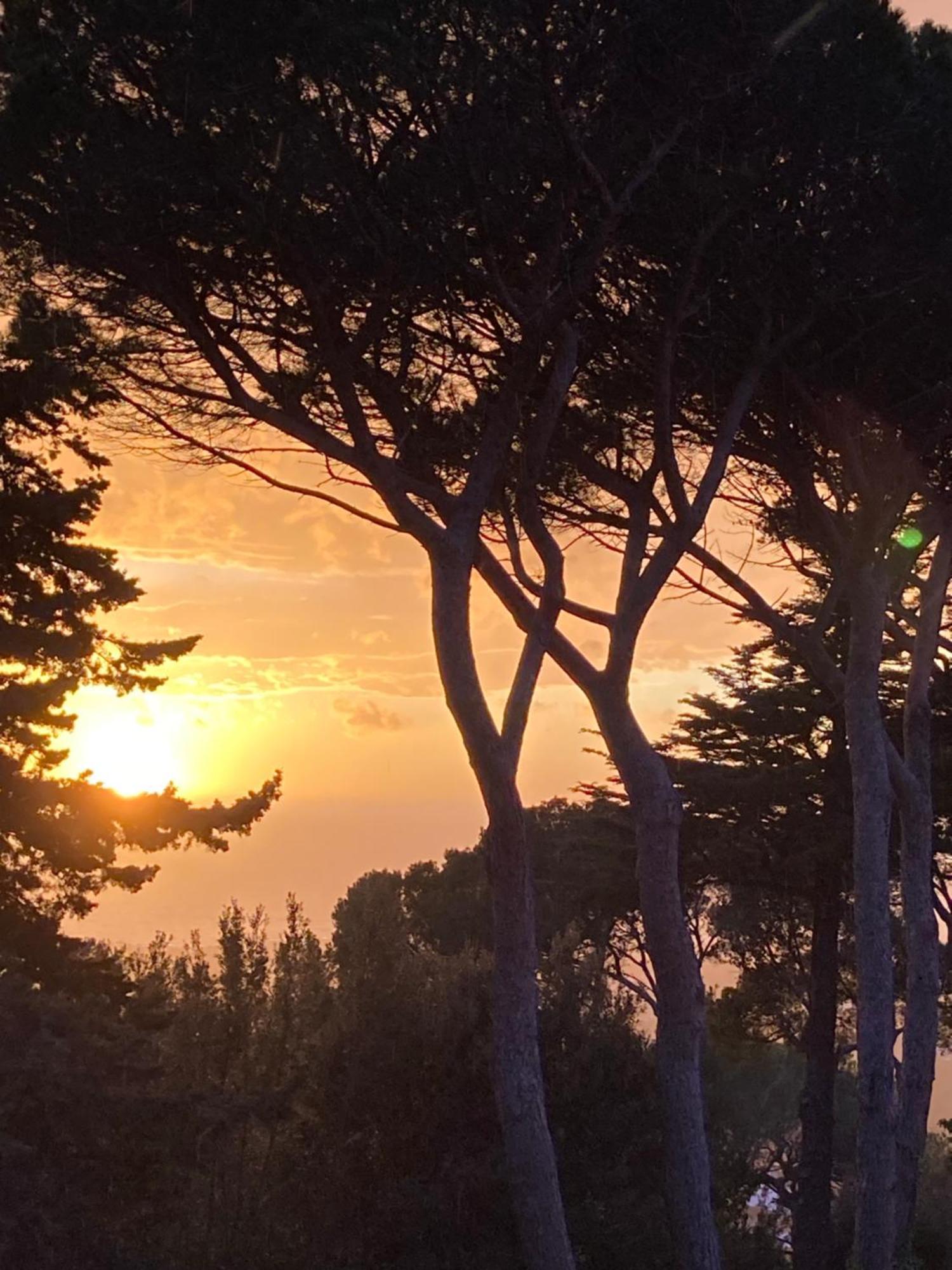 Appartamento Montenero Vista Mare Livorno Eksteriør bilde
